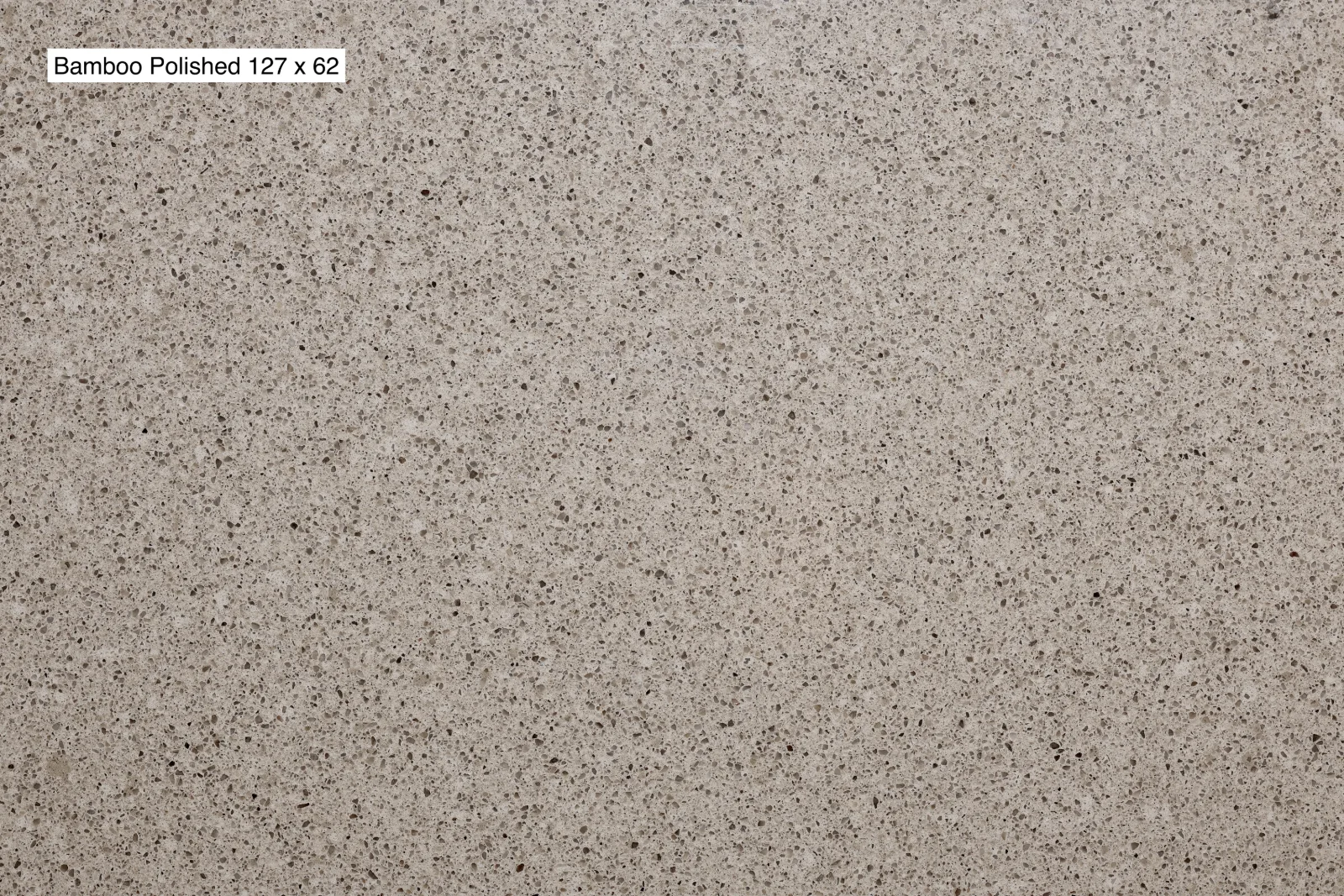 Bamboo Quartz Slab Photo 2