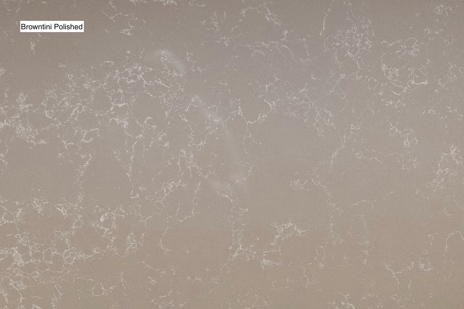 Mocha Brown Quartz Slab Photo 2