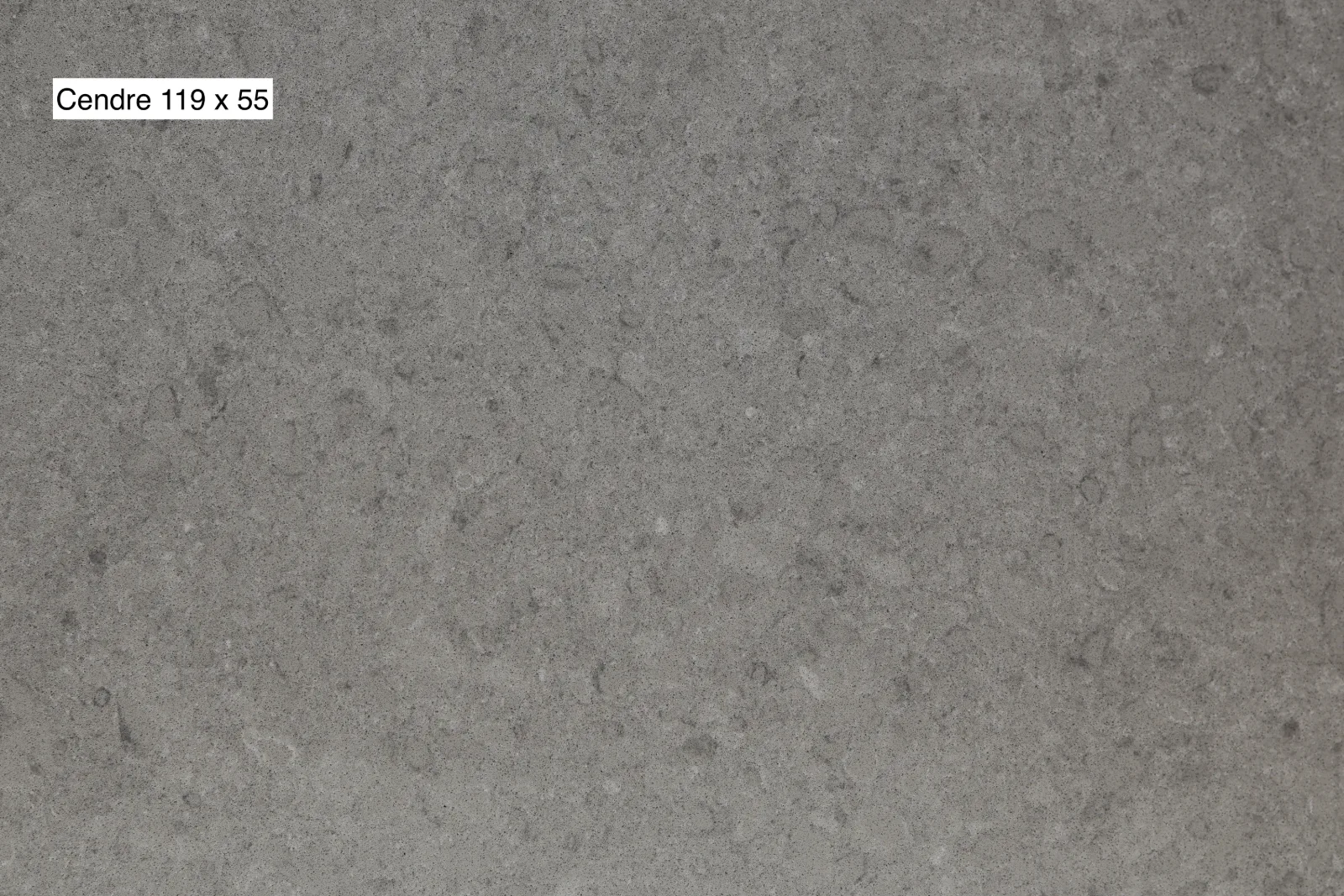 Cendre Quartz Slab Photo 2