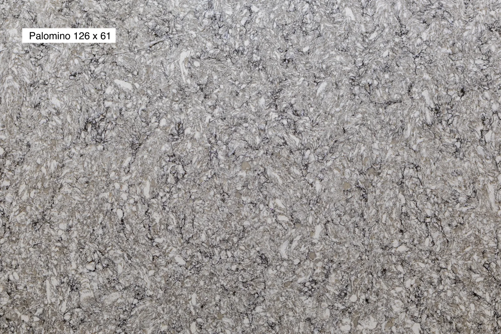 Palomino Quartz Slab Photo 2