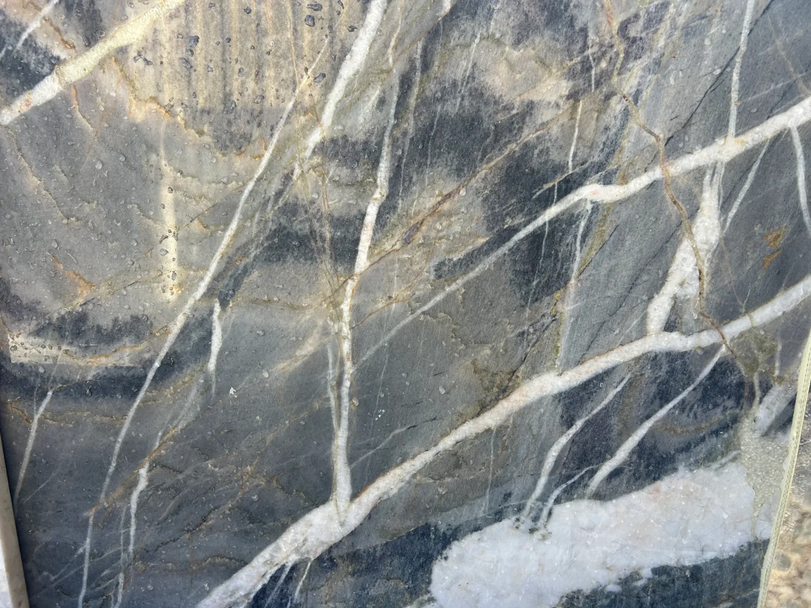 Kilimanjaro Quartzite Remnant in sun valley, Los Angeles