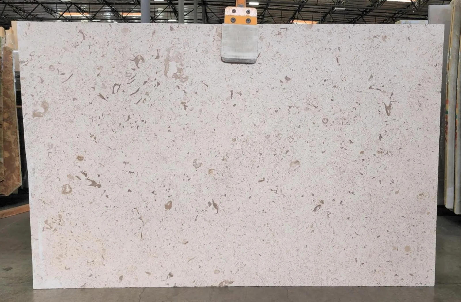 Fossil Limestone Limestone Full Slabs slab available at Verified seller in Sun Valley
