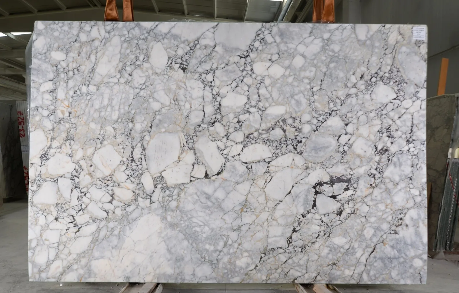 Calacatta Monet Viola Marble Slab in Sun Valley, Los Angeles