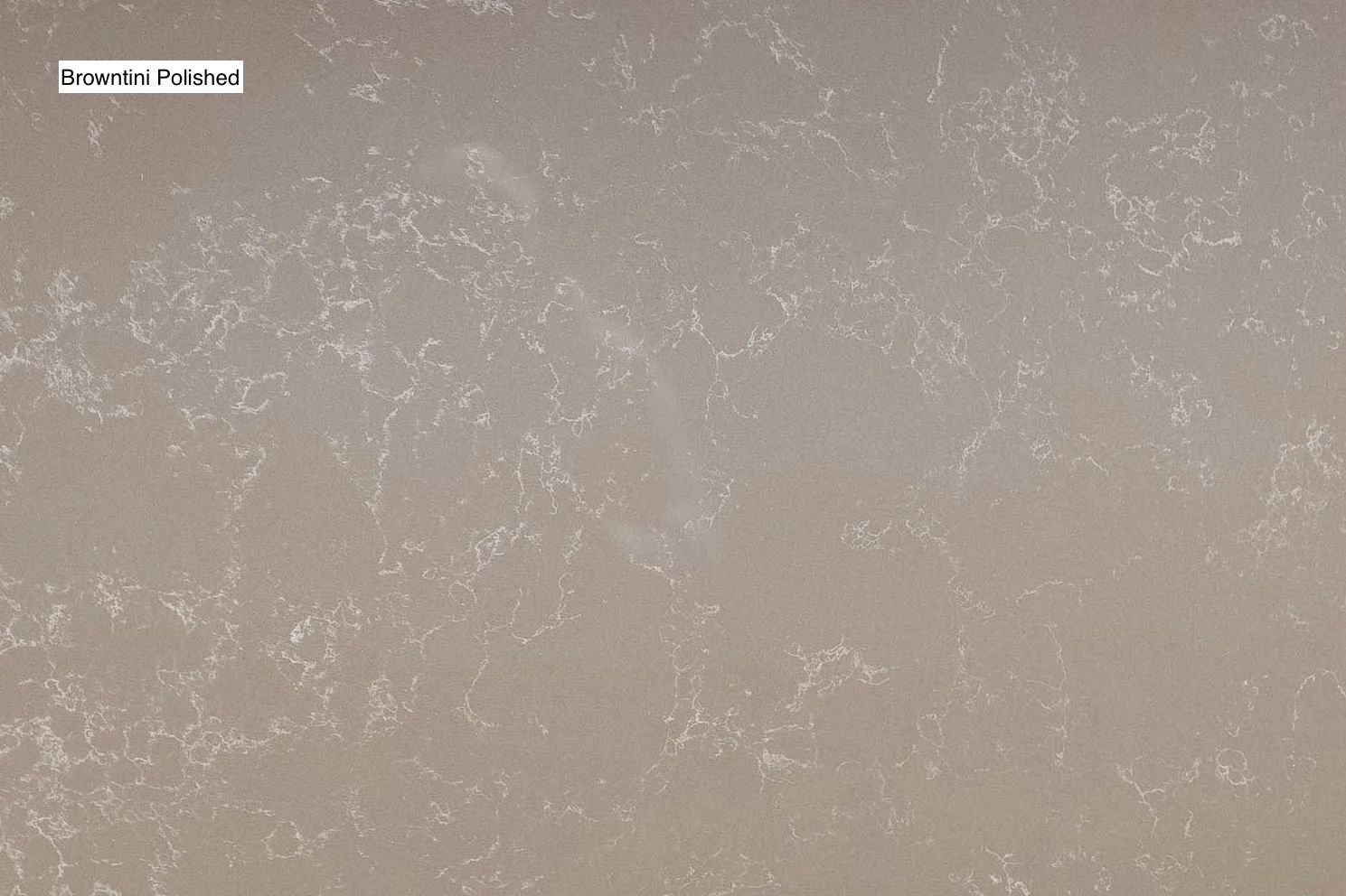 Mocha Brown Quartz Slab Photo 2