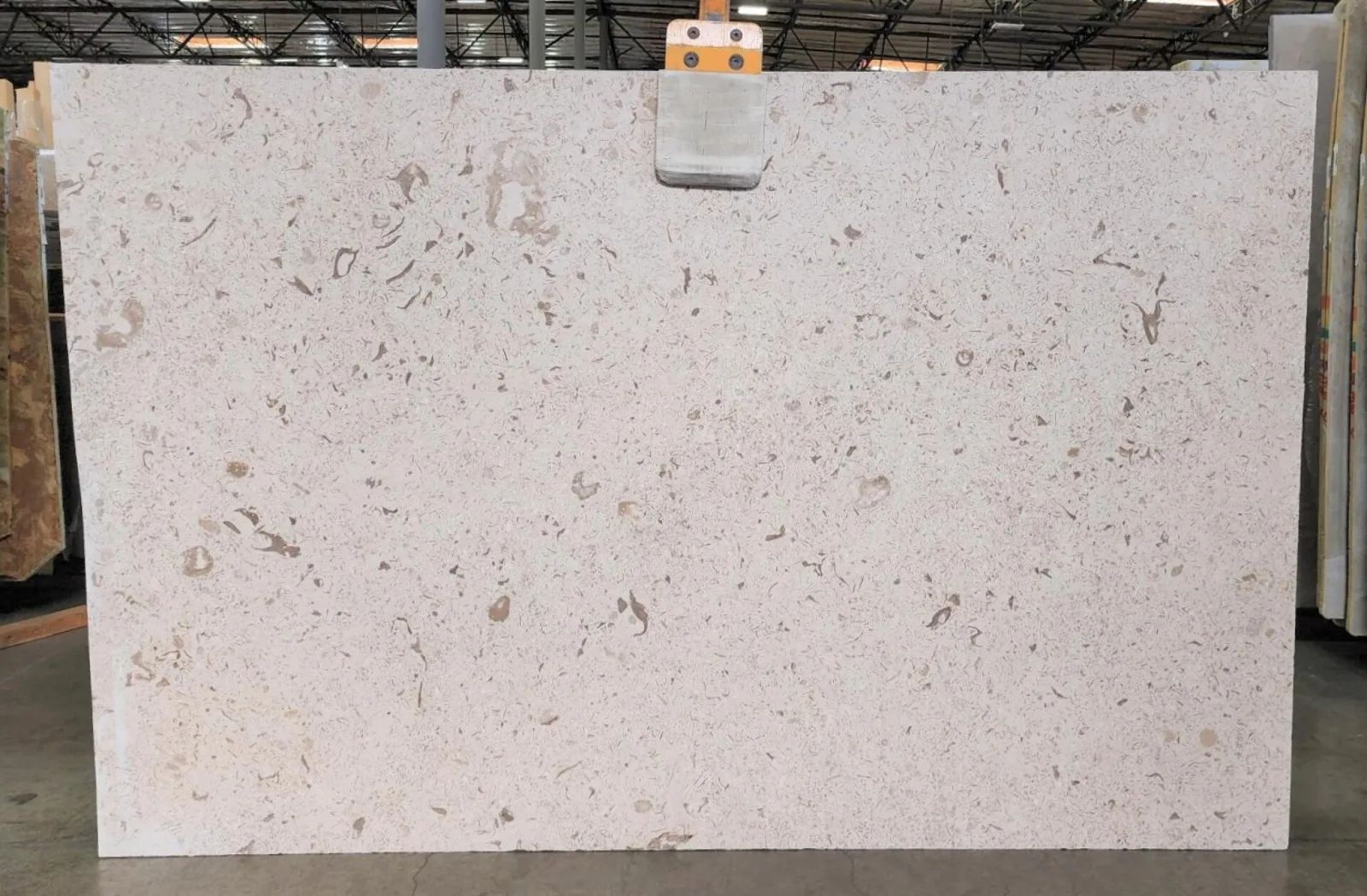 Fossil Limestone