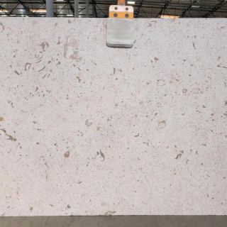 Fossil Limestone