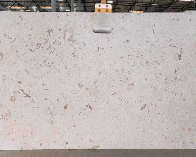 Fossil Limestone Slab in Sun Valley, Los Angeles