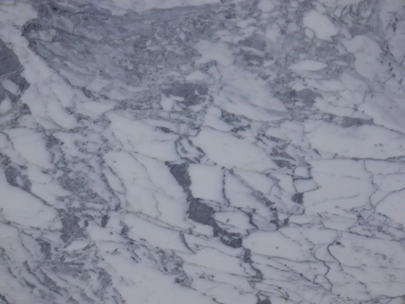 Calacatta Cremo Marble Remnant in Sun Valley, Los Angeles