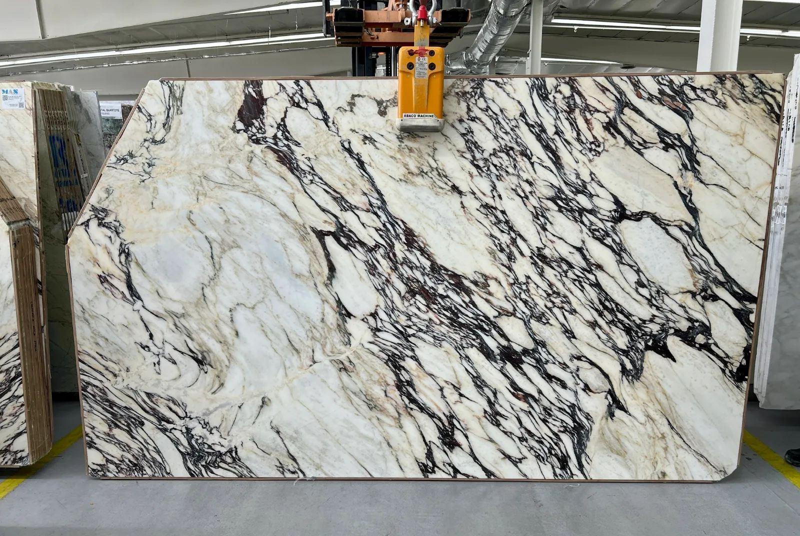 Calacatta Viola Italia Marble