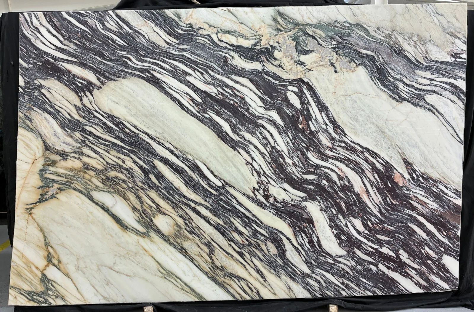 Calacatta Viola Fantastico Marble