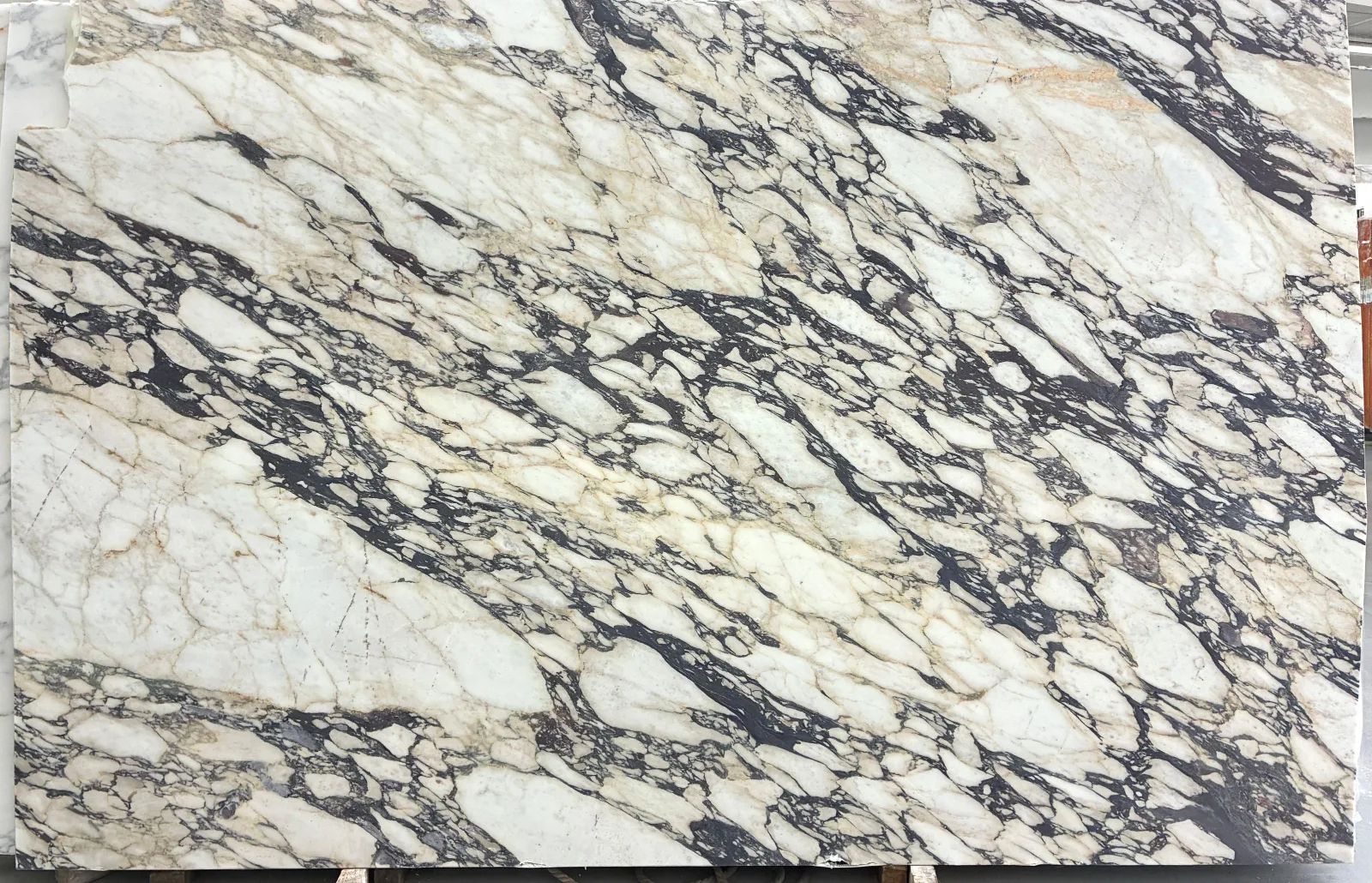 Calacatta Viola Grand Marble