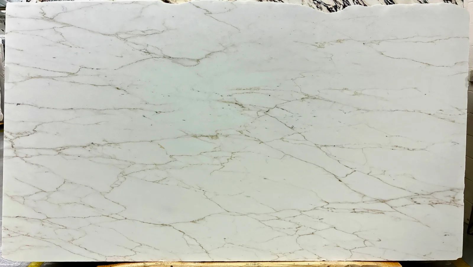 Calacatta Golden Lincoln Marble
